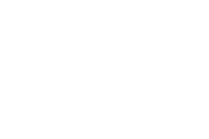 Allianz-conseil