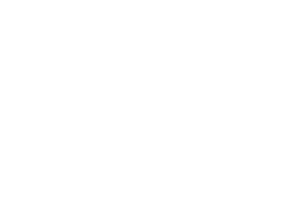 triumph_image